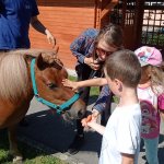phoca_thumb_m_ponk 84 Fotogalerie